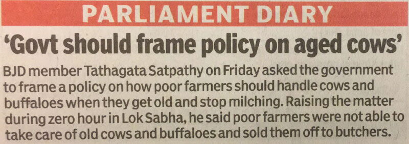 Newspaper cutting: “Govt should frame policy on aged cows”